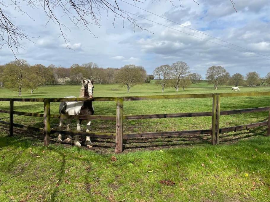 Jersey Cottage Horseheath Esterno foto